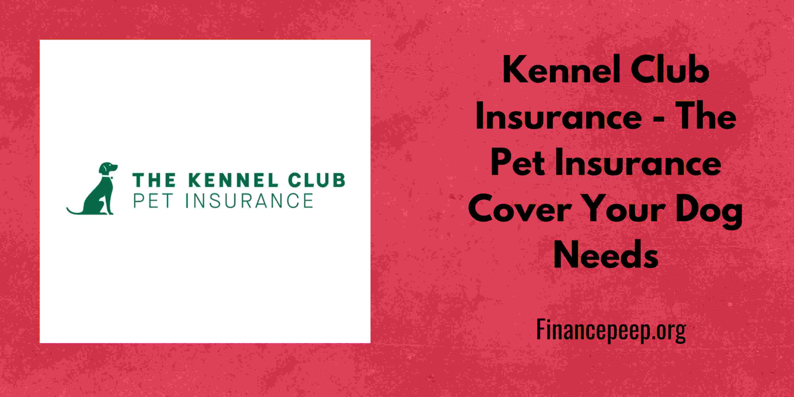 Kennel Club Insurance Reviews, Features, Pros & Cons Finance Peep